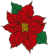 poinsettia flower artistic rendition